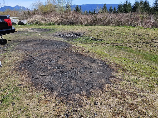Herbe brûlée au parc Eagle Mountain à Coquitlam