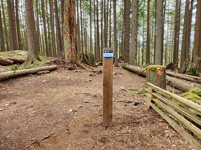 Picture of a wooden post from a distance in a wooded area with a sign that states "Restoration area, Please stay on trail. Dogs welcome on leah past this point." 