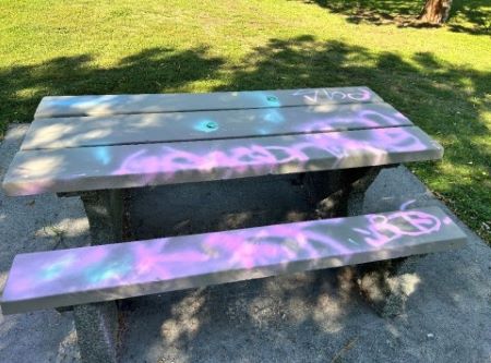 Table de pique-nique dans le parc Rainbow vandalisée par des graffitis roses et bleus.