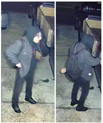 Two photos of suspect in driveway