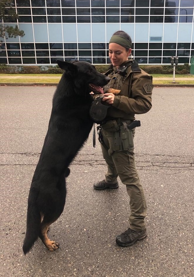 Cst. Britteny George and her partner, Police Service Dog Porter. 