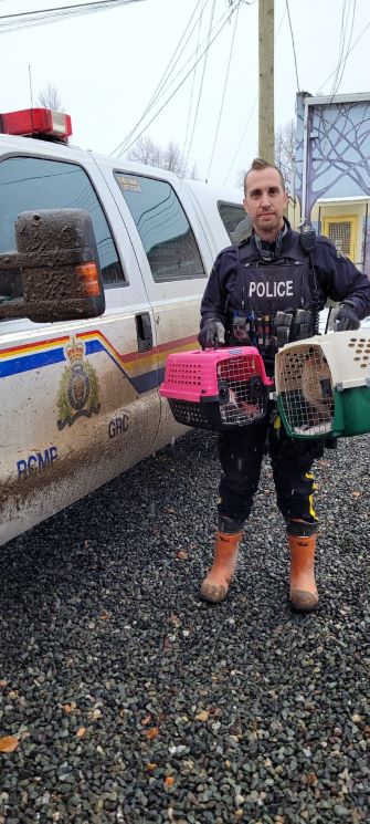 Le gendarme Dave Feller debout près d’un camion de police, transportant deux chats dans des cages pour animaux.