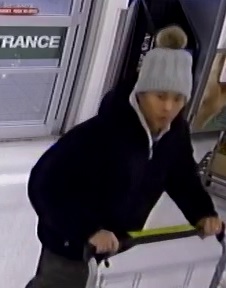 CCTV photo of the suspect pushing a shopping cart