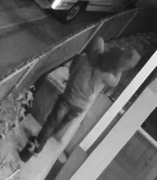 Photo captée à l’aide d’une vidéo de surveillance et montrant le suspect marchant avec le mât totémique sur l’épaule.