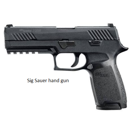 Picture of Sig Sauer hand gun 