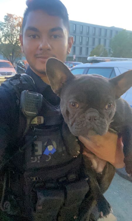 A police officer holds a small, dark hairded French bulldog in his arms.