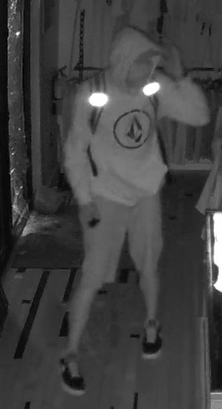 Suspect in shorts: A night vision security image of a suspect with a sweater, shorts, and backpack. The sweater as a logo inside a circle. 
