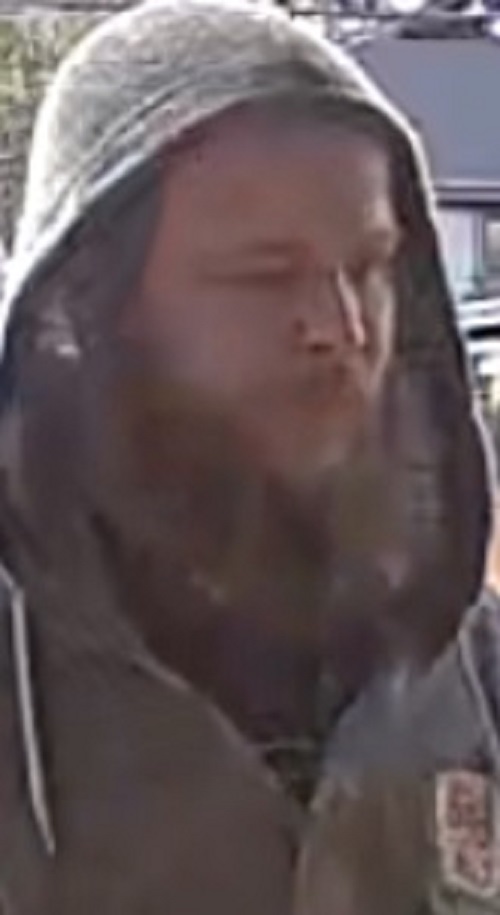 bearded man wearing grey hooded sweatshirt